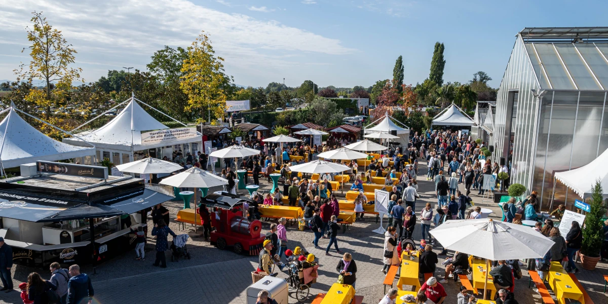 14. Charity-Flohmarkt Europa-Park: Schnäppchen und Hilfsaktion